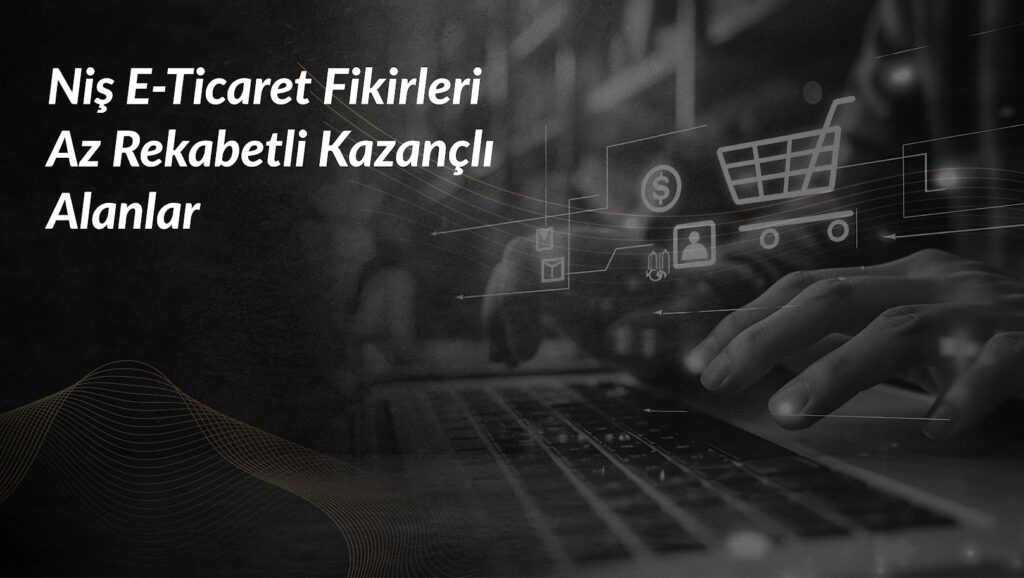 nis-e-ticaret-fikirleri-az-rekabetli-kazancli-alanla