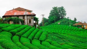 rize-gezisi-en-guzel-gezilecek-yerler